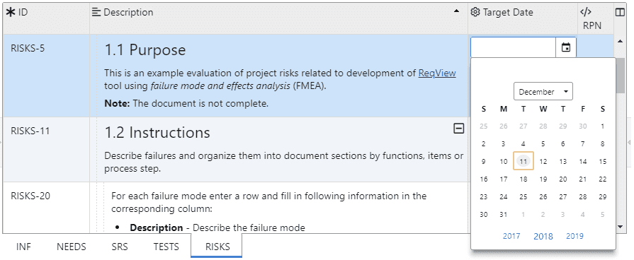 Date type attribute editor in RISKS document